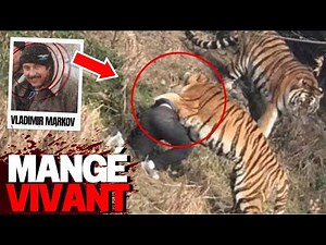 This spiteful Siberian tiger takes revenge on this hunter | Eaten alive | Man vs. Animal