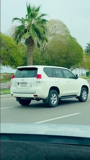 Green Oasis in Khobar 🌴 | Beautiful City View #shortvideo #khobar #shorts