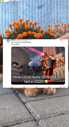 How covid tests felt