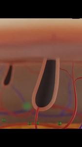 10K views · 122 reactions | Shaving Baby’s Head: Myth vs Science” | Ajib o Garib | Facebook