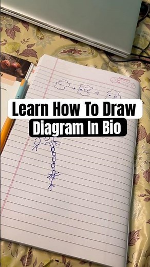 Learn How To Draw Diagram In Bio #studyvlog #studywithme10hours #cbse #studentlife