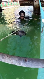 Isang labian | Kabilas Vlogs