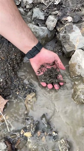 🗿 Uncovering Lost History Beneath the Ground! #metaldetecting #treasuresearch #metaldetector