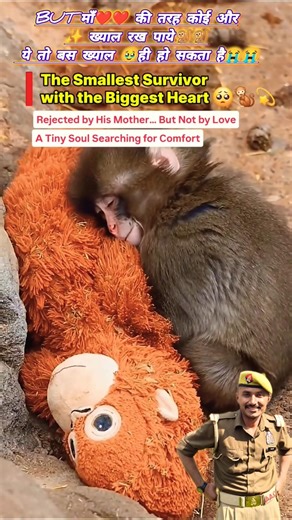 The viral Punch Monkey 🐒 struggle continue#punch #monkey #viral #viralvideo #viralshorts #shorts