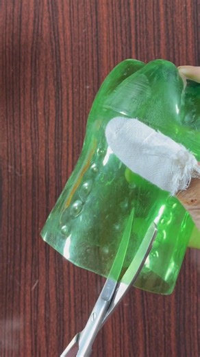 How to make DIY Aloe Vera Plant at Home