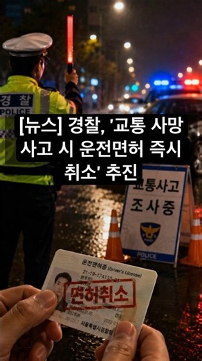 [뉴스] 경찰, '교통 사망사고 시 운전면허 즉시 취소' 추진