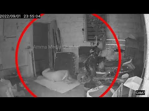 CCTV footage of ghost attacking sleeping man.