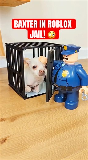 Save Baxter From Roblox JAIL! 😳 #funnyshorts #viraldogs #gaming #trending