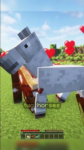 HOW TO GET THE BEST HORSE in Minecraft