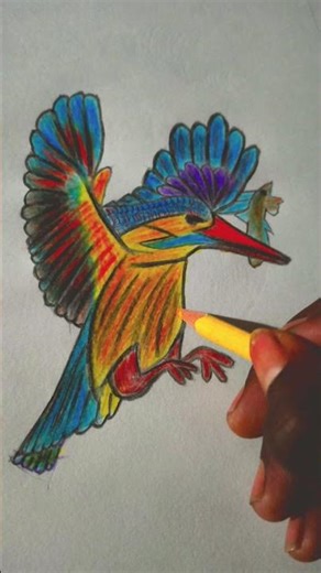 birds colour drawing 🎨🕊️🐥#colordrawings #birdsdrawing #drawingvideo #trendingshorts