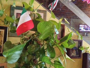 What Does it Mean to be Italian?