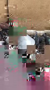 18K views · 569 reactions | Combining Healthy Oil, Trichonatura,...