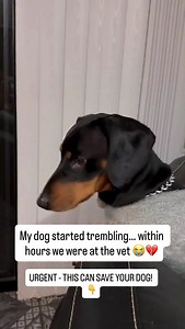 1K views · 79 reactions | It started like any other afternoon. He was...