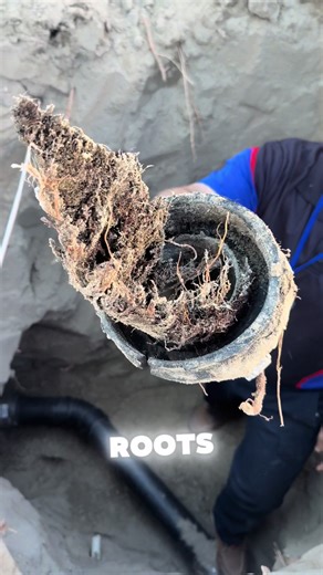 Trenchless Sewer Repair: The Smart Solution for Homeowners