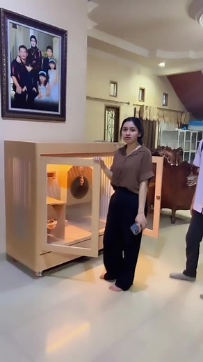 21K views · 445 reactions | Rumah kucing baru | Pesan Semesta | Facebook