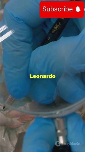 Unveiling the Secret of Da Vinci Code #davinci #davinciresolve #davincicode #facts #mystery #secret