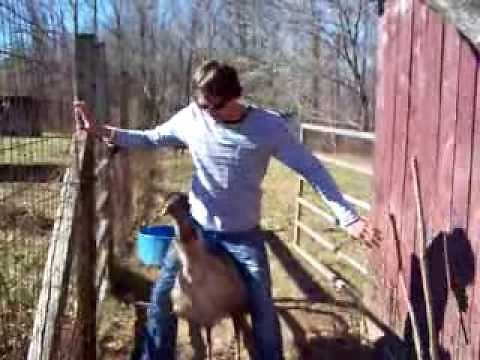 Jonathan rides an emu
