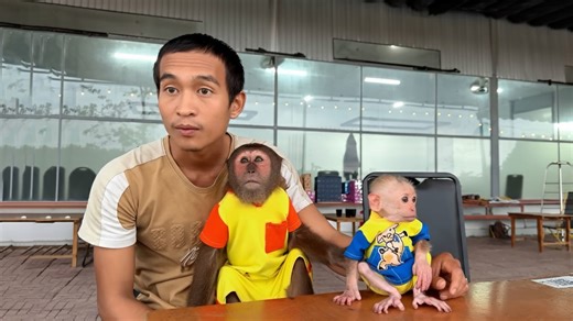 Cutis and baby monkey’s funny revenge on dad