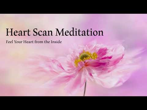 28 Minute Heart Scan Meditation | for Deep Healing, Mindfulness & Awareness #guidedmeditation