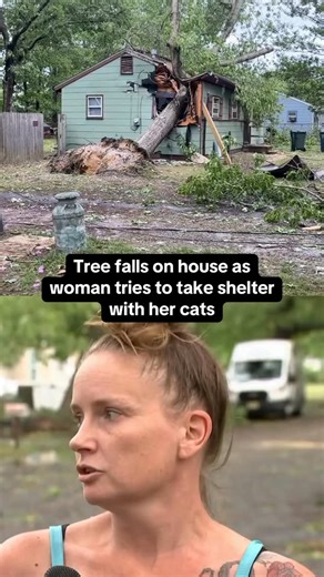 3.4K reactions · 216 comments | Buena Vista Township residents...