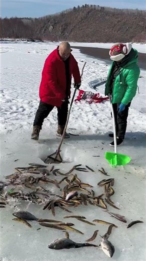 Winter Survival: Harvesting Massive Amounts of Fish from Frozen Lake [part-69]