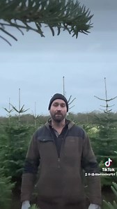 So you haven’t bought a real Christmas tree yet. Don’t worry. The...