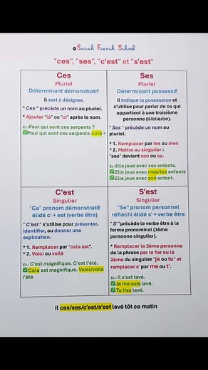 Maîtrisez les homophones : Ces, Ses, C'est, S'est !