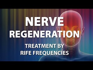 Nerve Regeneration - RIFE Frequencies Treatment - Energy & Quantum Medicine with Bioresonance