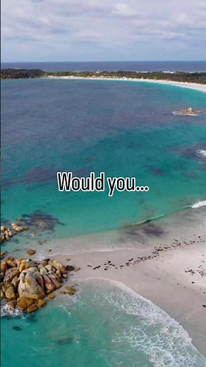 Would you experience the Bay of Fires? Tasmania, Australia | Dream Hotspot