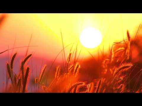 Christ the Lord is Risen today (Instrumental) 4k -Traditional Beautiful Hymn - Arranged by Tim Janis