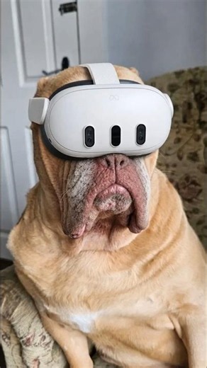 6 VR Games EVERYBODY is playing right now...