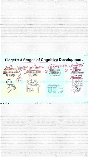 piaget's 4 stages of cognitive development