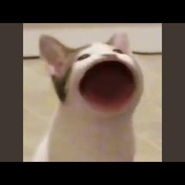 Coconut Mall (Sped up Nightcore Mario Kart Wii Bitcrushed Old Speaker Lofi Mix)