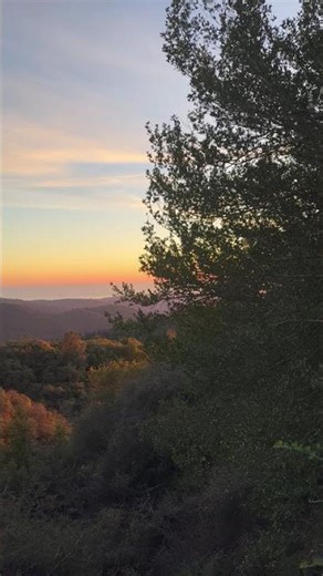 Han people are colonizers