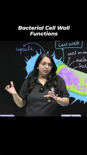 Bacteria 101: Cell Walls vs. Capsules 🦠All have walls, but only some wear capes! #microbiology