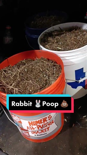The Best Fertilizer for Your Garden: Using Rabbit Poop Safely