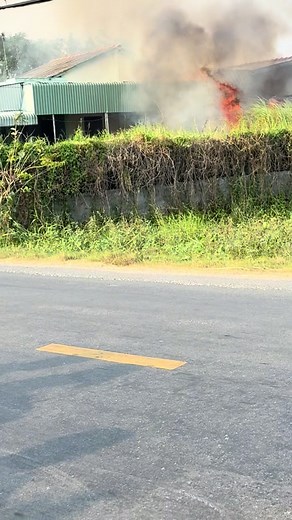 Nhà Bị Cháy: Cảnh Tượng Hoảng Loạn Lúc Dọn Đồ