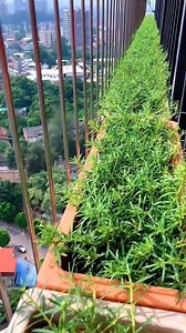 293K views · 1.1K reactions | Good innovations in agriculture that increase production | Sinaida64 | Facebook