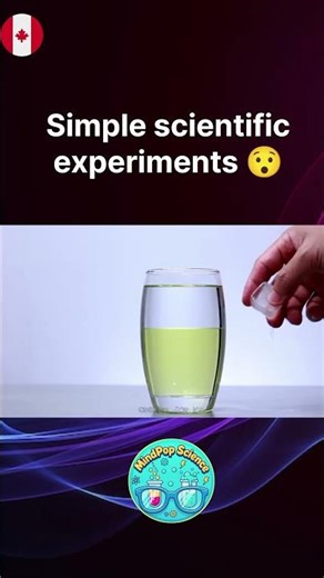 Home Science Demo: Colour Liquid Mystery Revealed 🔬🌈