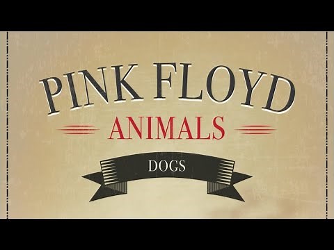 Pink Floyd - Dogs (LYRICS ON SCREEN) 📺