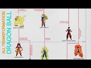 All Saiyan's Transformations in Dragon Ball - DBZ And DB Super