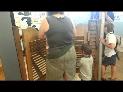 Watch out for the swinging door | Toddler vs saloon doors