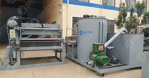 Small Egg Tray Making Machine | Fast-return Business