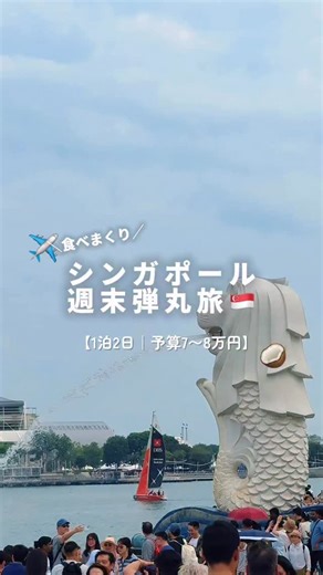 ハナの暮らし on Instagram: "予算7~8万円で行く!1泊2日シンガポール旅🇸🇬 #シンガポール旅#旅#シンガポールグルメ #ホーカー#旅するエプロン"