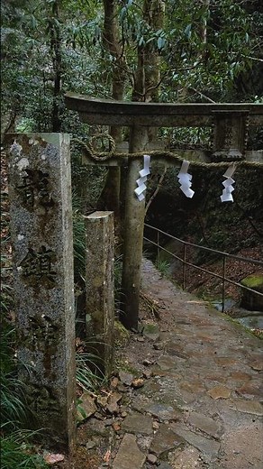 龍神が棲む奈良の秘境‼️龍鎮神社 #日本の景色