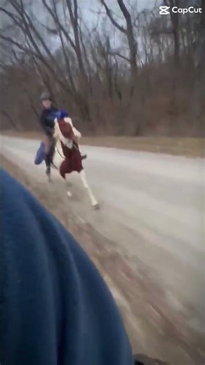 ‪@Gracie-eq7‬ im coming for your toesss