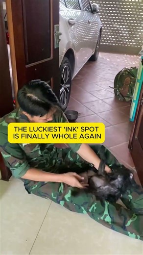 This dog's reaction to seeing his owner again 😭 #heartwarming #doglovers