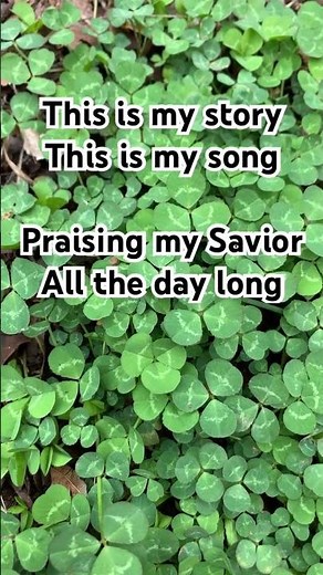 This is my story, this is my song #blessedassurance #christianmusic #acousticworship #hymns #worship