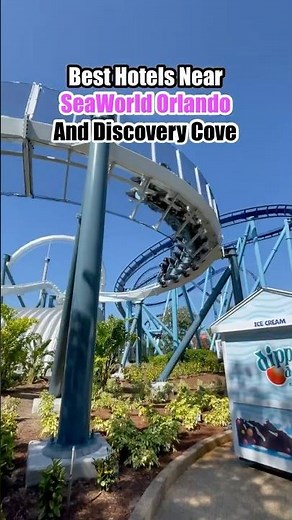 The 5 BEST Hotels Near SeaWorld Orlando 🤩 (and Discovery Cove)