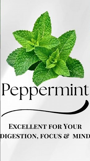 Top Benefits of Peppermint You Never Knew! #herbalmedicine #holistichealth #homesteading